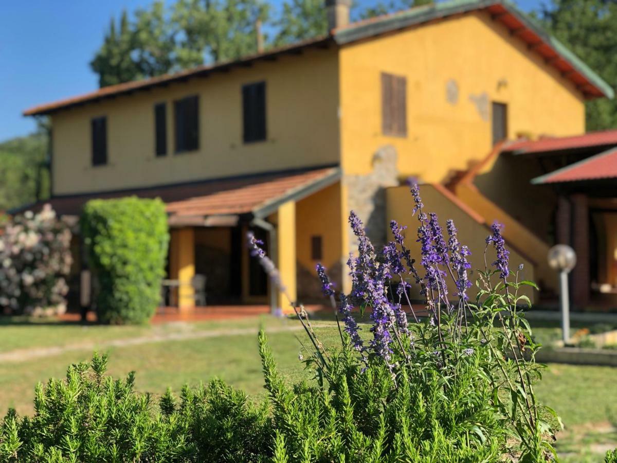 Agriturismo Santa Lorica Sassetta Exterior foto
