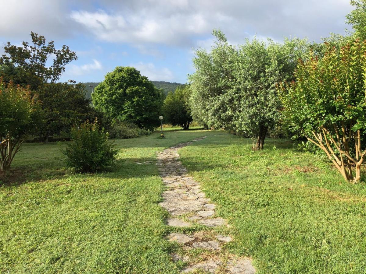 Agriturismo Santa Lorica Sassetta Exterior foto